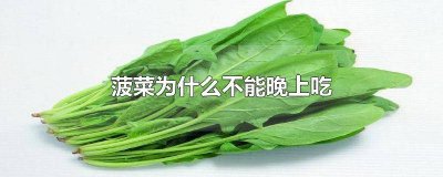 ​菠菜为什么不能过夜吃呢 菠菜过了夜能吃吗