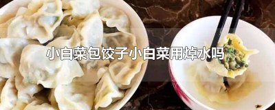 ​小白菜包饺子用水焯一下吗 小白菜包水饺需要焯水吗