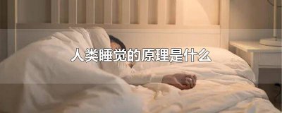 ​睡眠产生原理 想睡觉的原理