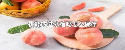 ​桃能放在冰箱里保存吗 桃能放在冰箱里保鲜吗