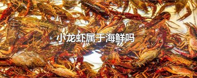 ​痛风可以吃小龙虾不 痛风吃小龙虾可以吗