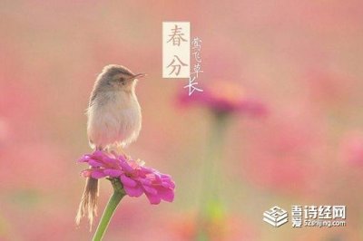 ​春分节气的含义是什么