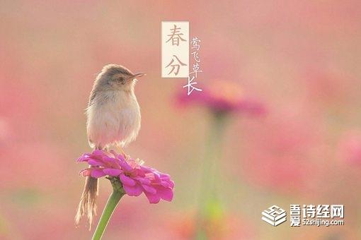 春分节气的含义是什么