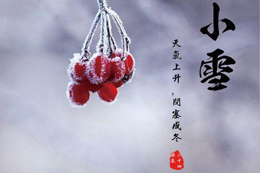 小雪节气代表什么 要注意哪些问题