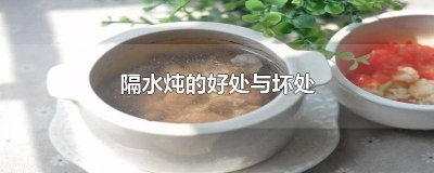 ​隔水炖锅有什么好处 隔水炖汤有什么好处