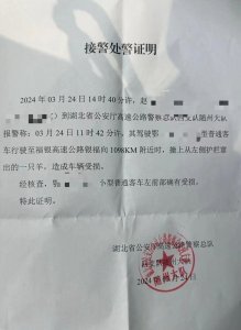 ​武汉一特斯拉高速上撞到突然窜出的羊，司机称损失上万，高速运营公司：管不住