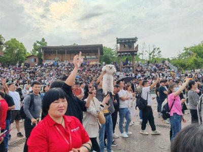 ​开封王婆武汉首秀：阴雨天游客坐满看台，媒人专程从外地赶来取经