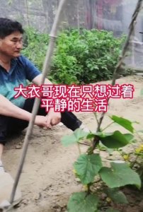 ​大衣哥近照太憔悴，坐菜地里发呆不嫌脏，干农活被骂惨还被好友告