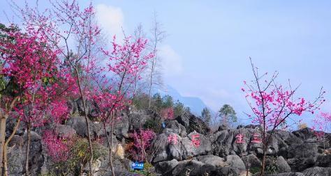 江油匡山佛爷洞风景区：川西北最大的喀斯特溶洞