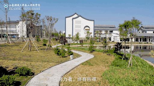 山东科技大学泰山科技学院报考代码:13624  走进航拍泰科