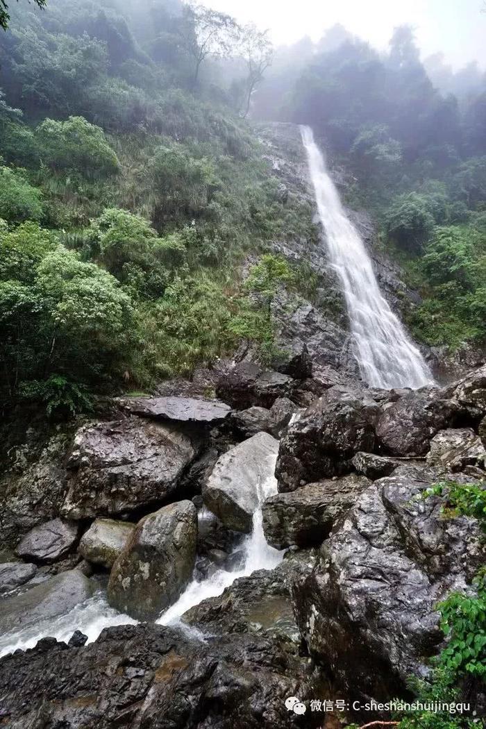 畲族的传统年节知多少？带你了解畲族年节习俗