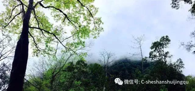 畲族的传统年节知多少？带你了解畲族年节习俗