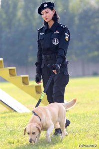 ​狗是人类的好朋友，盘点关于警犬神犬的电视剧，你看过哪一部呢？