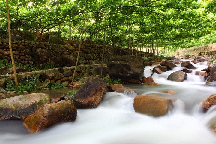 风景图集：葡萄沟风景美图