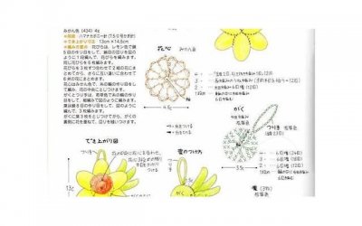 ​抖音首播预热案牍（斗音首播说说）